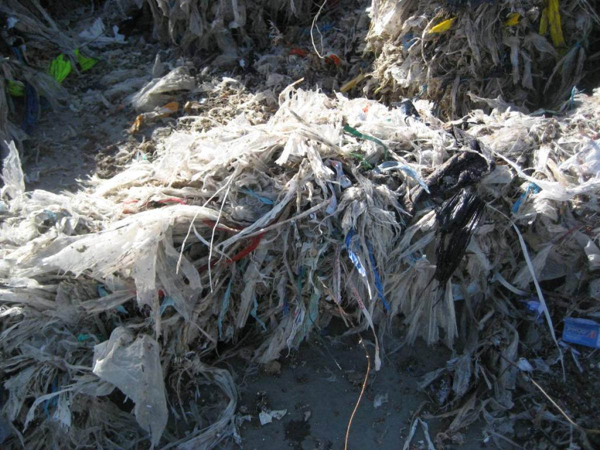 Paper industry waste Vecoplan